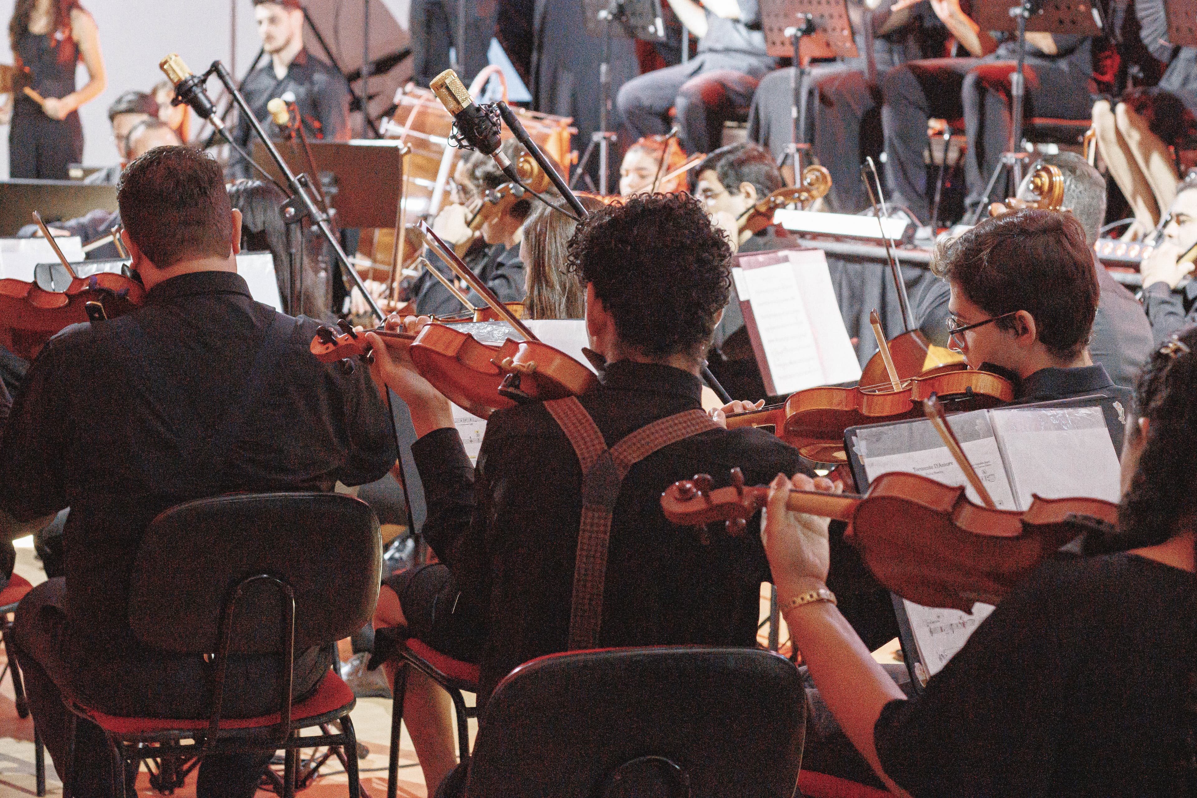Violino
